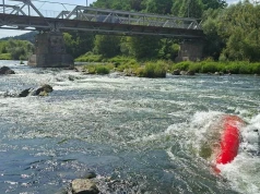 Wypadek kajaka na rzece Dunajec. Służby interweniowały