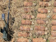 Niebezpieczne znalezisko podczas prac polowych. Saperzy wydobyli aż 52 pociski