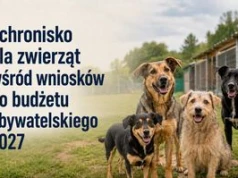 Toruń. 118 projektów z budżetu obywatelskiego z szansą na realizację. Na liście odrzuconych 31 inicjatyw