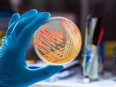 Wymaz, posiew, antybiogram… Jak czytać wyniki badań mikrobiologicznych?