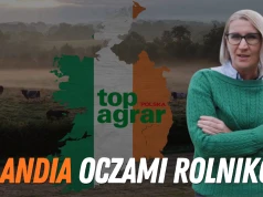 Zielona Wyspa od strony gospodarstw. Jak żyją irlandzcy rolnicy?