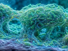 BatR i SrkA sterują architekturą biofilmu Pseudomonas aeruginosa i jego odpowiedzią na antybiotyki