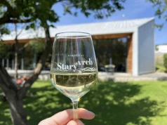 Winnica Stary vrch w Hustopečach – morawski świat wina wśród migdałów i moreli