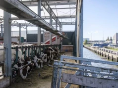 To miała być przyszłość produkcji mleka. Po siedmiu latach projekt upada