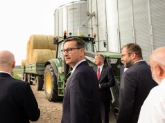 Mateusz Morawiecki ma szanse, ale musi iść odważniej. Rozwój to nie tylko gospodarka