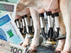 Upały ograniczają produkcję mleka. Co dalej z cenami skupu?
