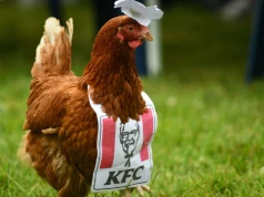 O kurka! Budynek po KFC może przejść kontrowersyjną przemianę