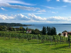 Ukryta plaża nad słynnym jeziorem zachwyca turkusową wodą. Bez tłumów i bez opłat