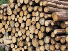 Pellet znów może mocno podrożeć? W Sejmie awantura o pozyskanie surowca