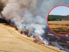 Gigantyczny pożar pod Reczem. Ogień strawił blisko 60 ha pszenicy