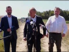 Liliana Sonik: Państwo z kartonu!