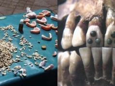 Majowie mieli lepszych dentystów niż my? Wszystko przez niezwykły ząb