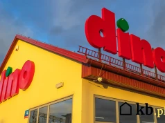Duża puszka 800 g za 5,49 zł w Dino. Posiłek na 2 dni wychodzi poniżej 6 zł
