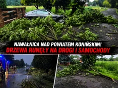 Nocna nawałnica uderzyła w Wielkopolskę. Strażacy ruszyli do akcji.