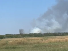 Pożar lasu w Puławach. Ogień dotarł w pobliże Zakładów Azotowych