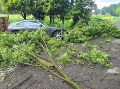 Burzowa noc w powiecie konińskim. Strażacy interweniowali już 12 razy