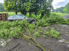 Niespokojna noc w powiecie konińskim. Strażacy usuwali powalone drzewa