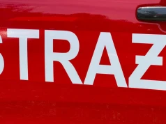Pożar lasu tuż przy Grupie Azoty Puławy. Do akcji ruszyły liczne zastępy