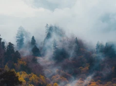 Ekspert: smog szkodzi także zdrowiu psychicznemu. Latem szczególnie groźny jest dym z pożarów lasów