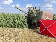 Śmierć w żniwa. 73-letni rolnik zginął pod kołami kombajnu
