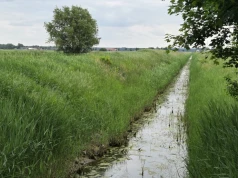 Retencja glebowa priorytetem dla rolnictwa. Na program przeznaczono 800 mln zł
