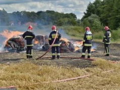 Spalił się kombajn. Plaga w trakcie polskich żniw