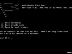 NetBSD 11.0