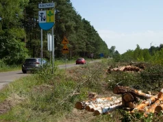 Pracują nad tymczasową organizacją ruchu. Trasa z Jaworzna do Bukowna może być całkowicie zamknięta