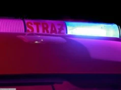 Koszmar na działkach w Gdańsku. Dwie osoby zginęły w pożarze