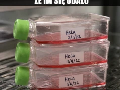 Rak z uprawnieniami administratora