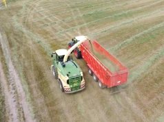 1600 ha pod pasze dla bydła. Tak zbierają zielonki w GR Jachimowski