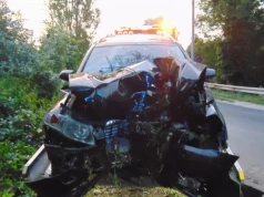 Siedmioro pijanych Ukraińców w Audi, kobieta w bagażniku. Kierowca rozbił auto o drzewo.