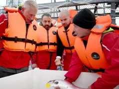 Pijany w pubie? Formalnie łamiesz prawo. Te przepisy nadal obowiązują w Wielkiej Brytanii