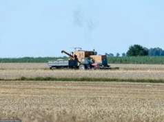 20 tys. zł za cały sezon. Oto zarobki za pracę przy żniwach