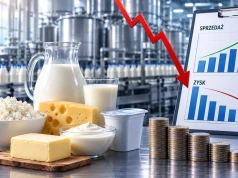 Mleka jest więcej, a zyski spadają. Co dzieje się w mleczarniach?