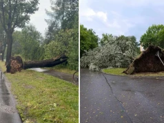 Niespokojna sobota w powiecie tarnogórskim. Ponad 110 zgłoszeń do straży pożarnej po nawałnicy