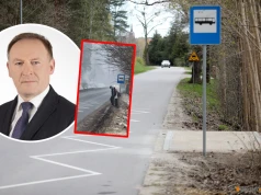 „Dzieci stoją w rowie”. Po głośnym nagraniu przystanek w Brąswałdzie przeszedł zmiany. Komu przypisać sukces?