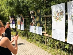 Twórcy pokazują swoje prace w opolskim zoo. Czegoś takiego jeszcze tam nie było