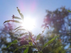 To będzie upalny tydzień. Temperatura powyżej 30 stopni już od poniedziałku