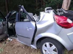 Renault uderzyło w drzewo. Do szpitali trafiło czworo pasażerów, w tym 6-letnie dziecko