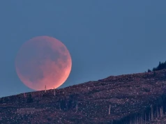 Dwa zaćmienia i deszcz meteorytów. Wyjątkowy sierpień na polskim niebie