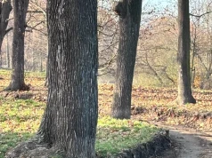 Pożyczą, żeby odzyskać pieniądze