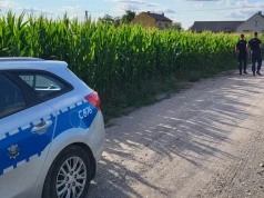 Detektory w kombajnach są bezradne wobec tej pułapki