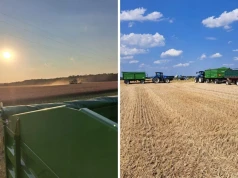 Rolnicy sprzedają zboże prosto spod kombajnu. „Za co mamy siać?”