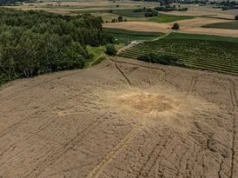 Ważny apel Sztabu Generalnego WP. W tle incydent z rakietą pod Lublinem