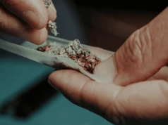 Bliźniacy uprawiali konopie. W szopie znaleziono broń