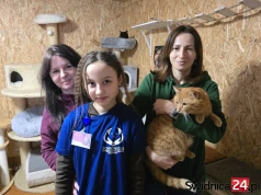 Dramatycznie spadły adopcje. Schronisko zaprasza na dwa Dni Wielkich Serc