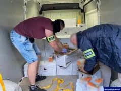 Gdańsk: Milionowy przemyt udaremniony. Służby przejęły tysiące e-papierosów i papierosów bez akcyzy