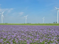 ENGIE wprowadza pierwszą w Polsce farmę wiatrową na rynek usług bilansujących