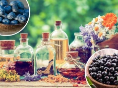Nalewki na niestrawność, lepszą odporność, a także nadciśnienie tętnicze i wysoki cholesterol. Sprawdź właściwości zdrowotne nalewek
